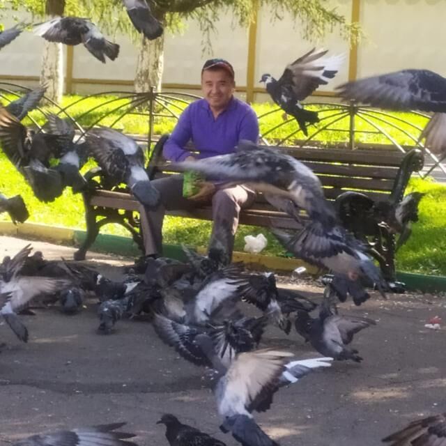 ���� 24489563 ������� ������, 48 ���, ���� ���������� � ������