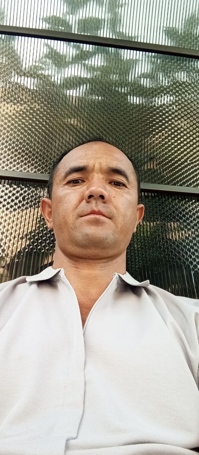  ,   Doni, 33 ,   ,   