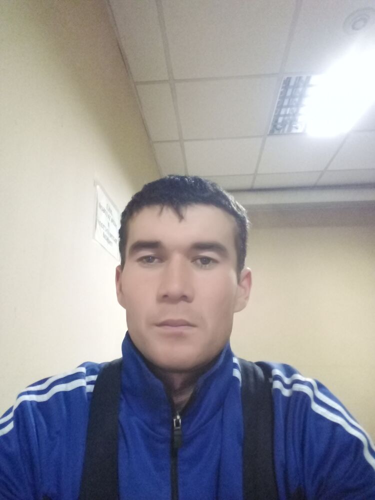  32481493  , 33 ,    