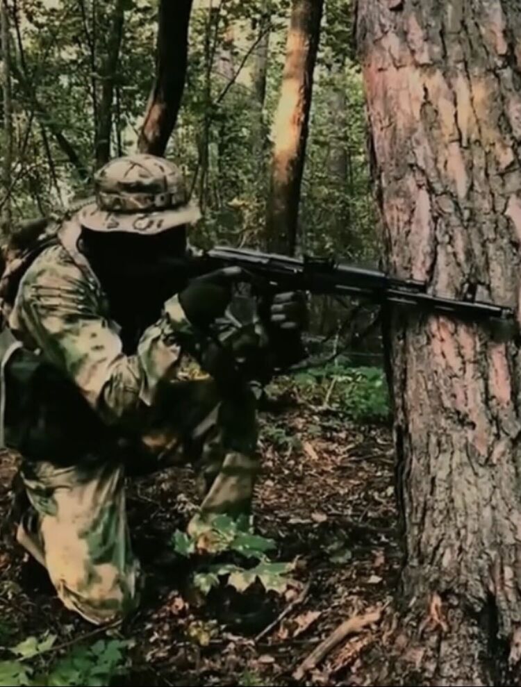  53164453  , 30 ,    --