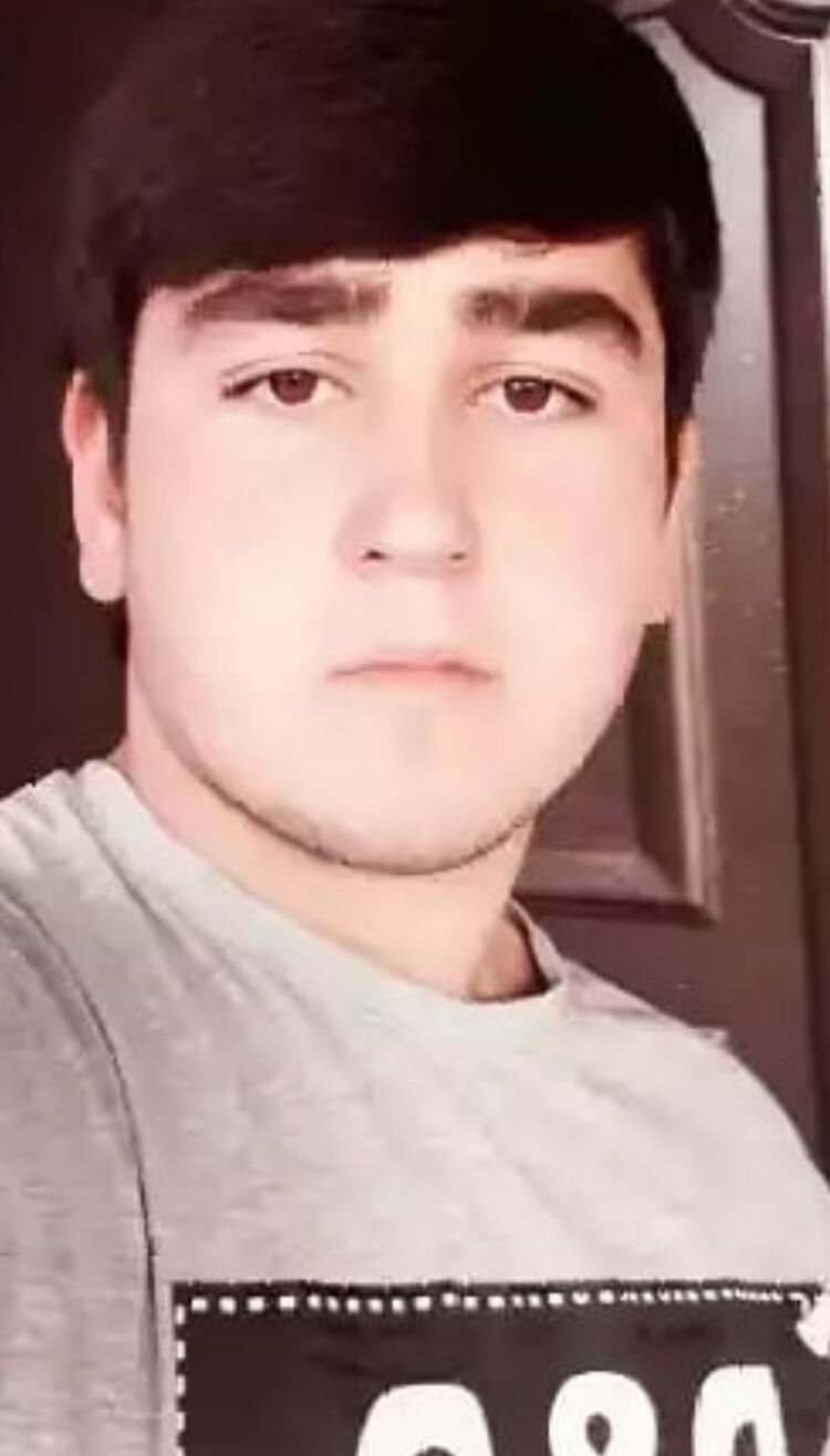  33656553  , 22 ,    -