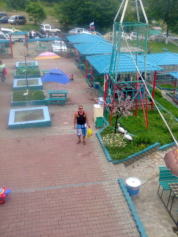   ,   , 49 ,     , c 
