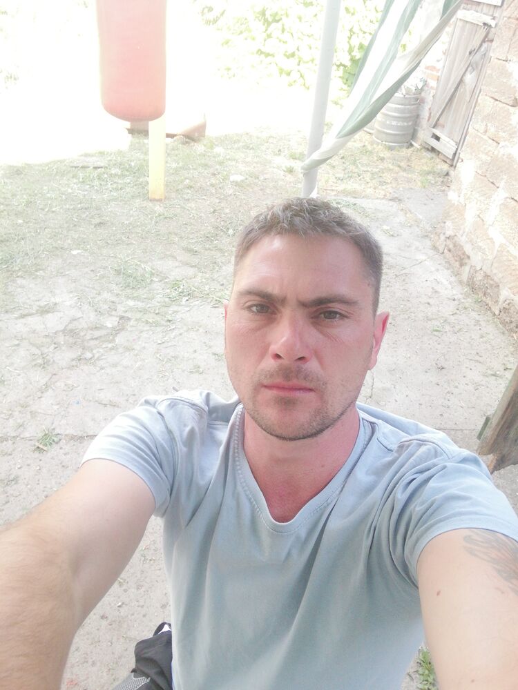  31325663  , 38 ,    