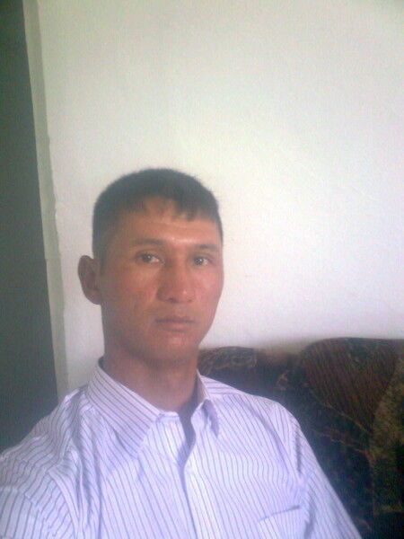  5833553  , 45 ,    