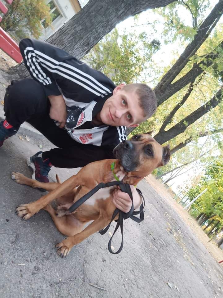 ���� 23114763 ������� �������, 32 ����, ���� ���������� � ��������