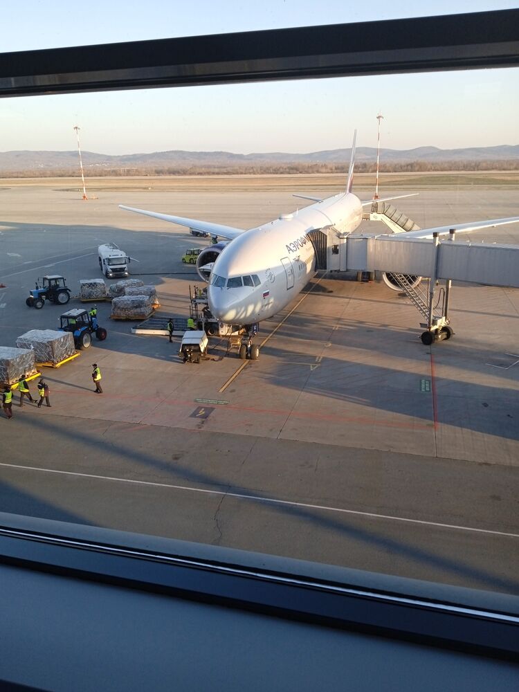 ���������� �������, ���� ������� �����, 37 ���, ������������ ��� ������, ����� � ���������