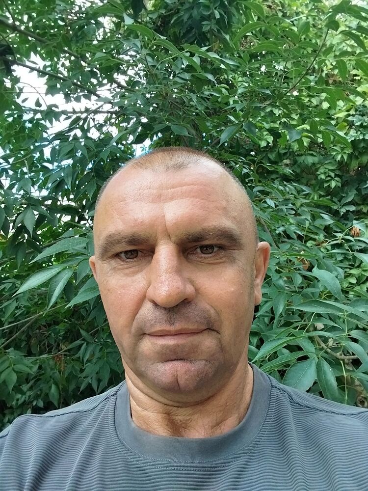  53298243  , 50 ,    --