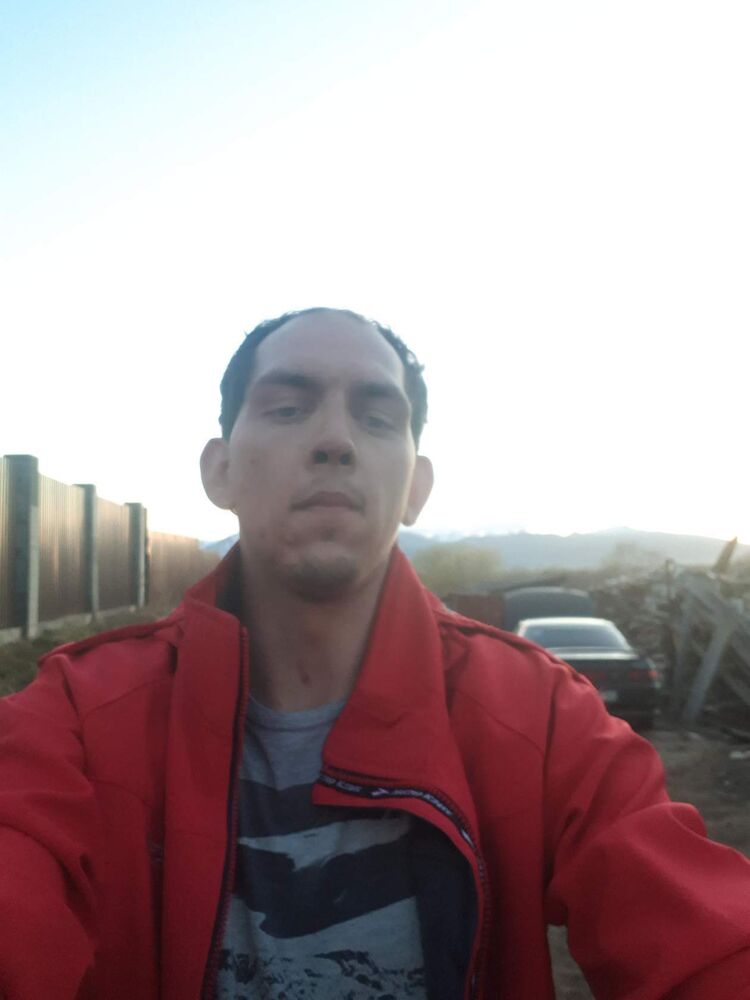  42387043  , 33 ,    -