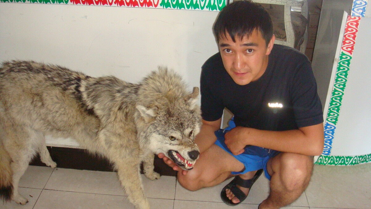 ���� 6965023 ������� Erema, 41 ���, ���� ���������� � ���������