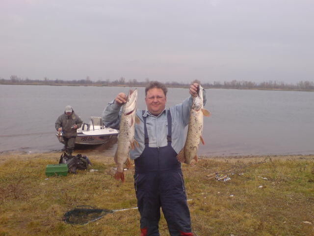  15343233  Alexey, 51 ,    