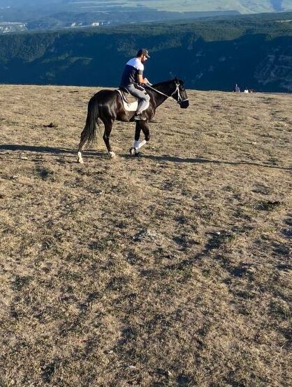 ���������� ���������, ���� ������� ������, 35 ���, ������������ ��� ������, ����� � ���������