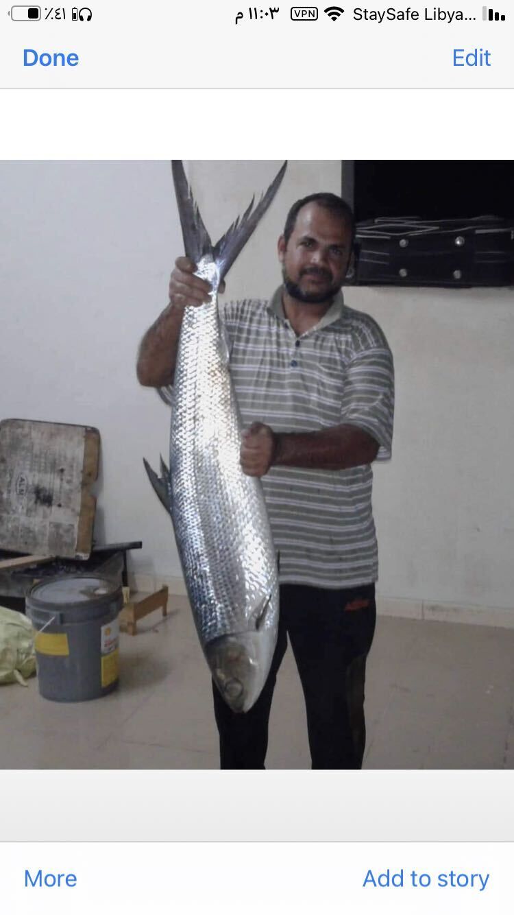 ���������� ������, ���� ������� Iprahim, 40 ���, ������������ ��� ������, ����� � ���������