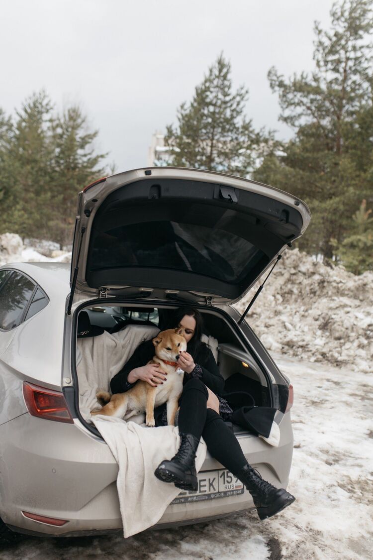 ���������� �����, ���� ������� �������, 34 ����, ������������ ��� ����� � ���������, c�������� ���������, ���������