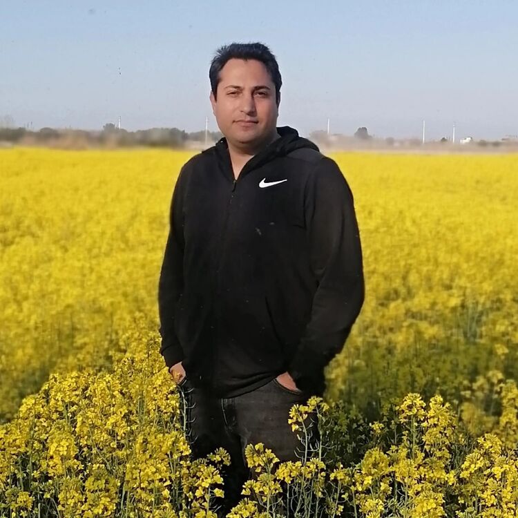  Babol,   Mehmet, 36 ,   ,   