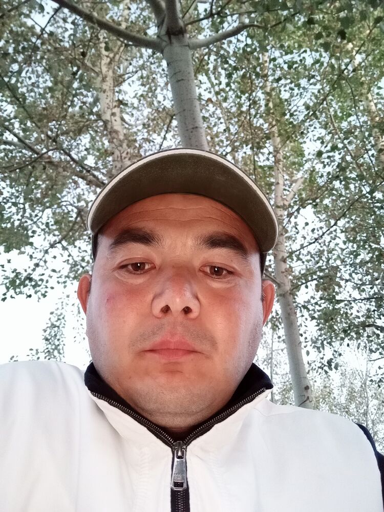  48995323  , 41 ,    