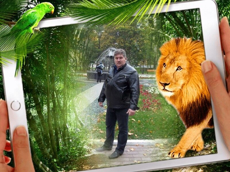 ���� 16583843 ������� ������, 48 ���, ���� ���������� � ������