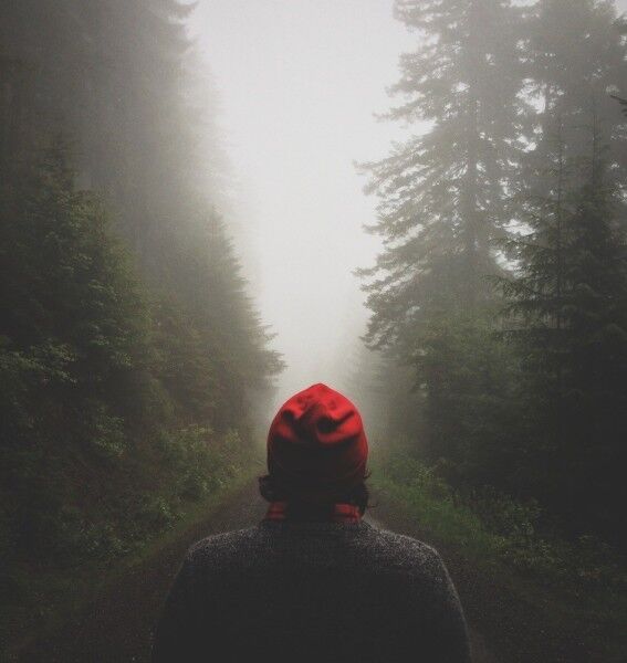  5246883  Linguist, 35 ,    