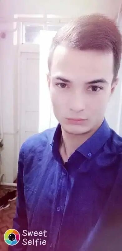  53432293  , 27 ,    