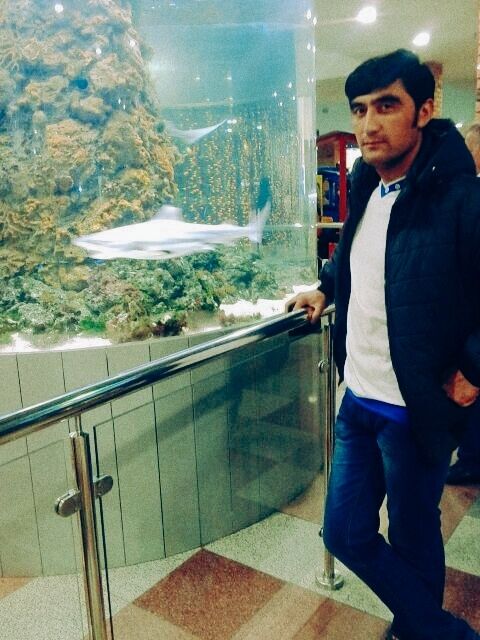 ���������� ������ ��������, ���� ������� �����, 40 ���, ������������ ��� ������, ����� � ���������