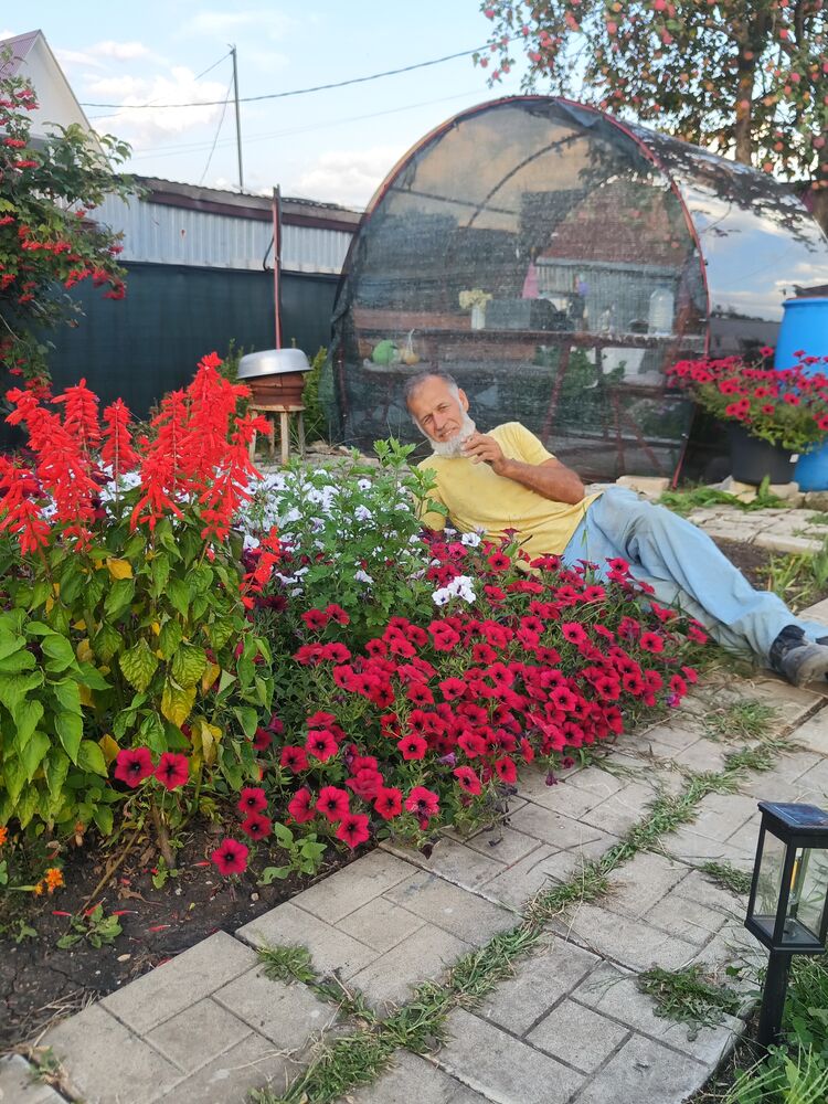 ���������� ���������, ���� ������� ����, 52 ����, ������������ ��� ������, ����� � ���������, c�������� ���������, ���������