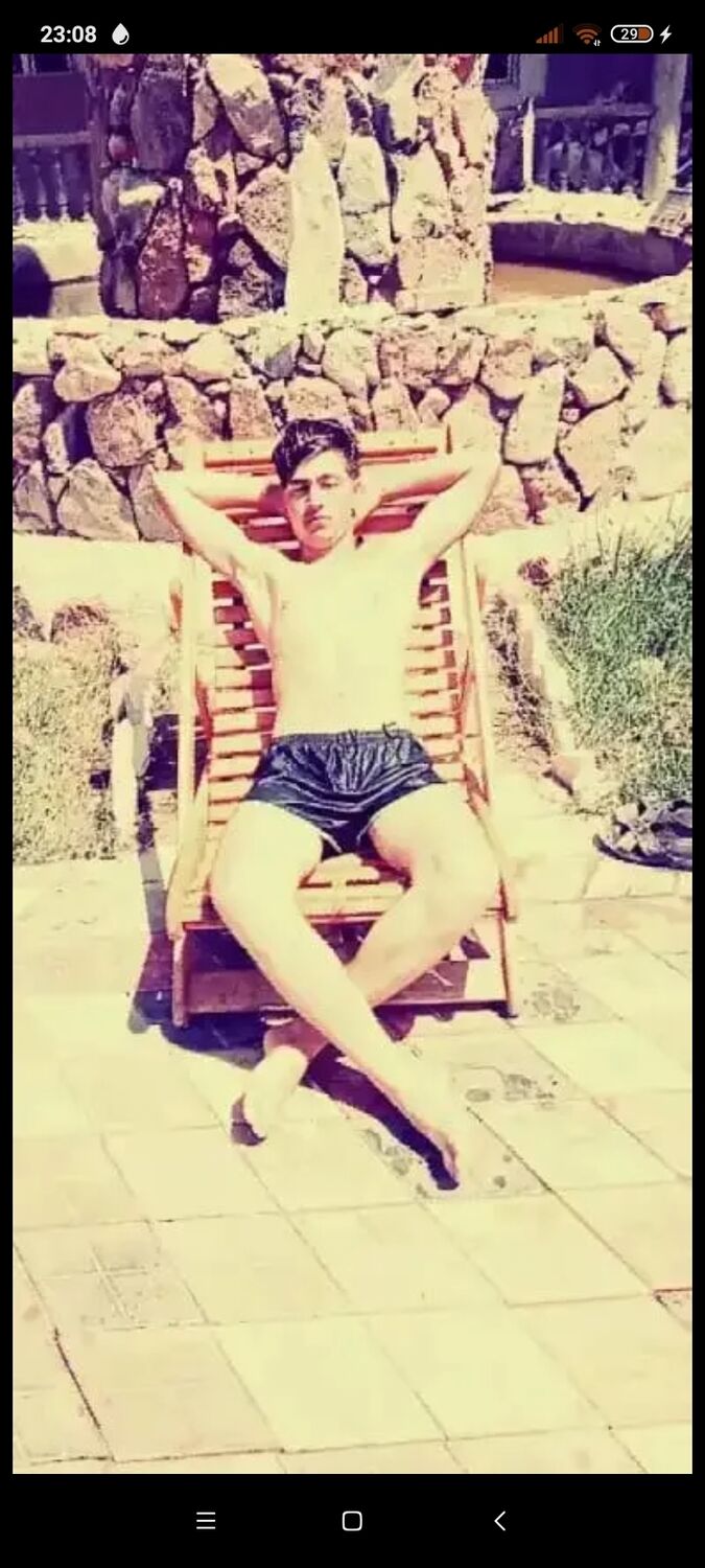  31641633  , 22 ,    -