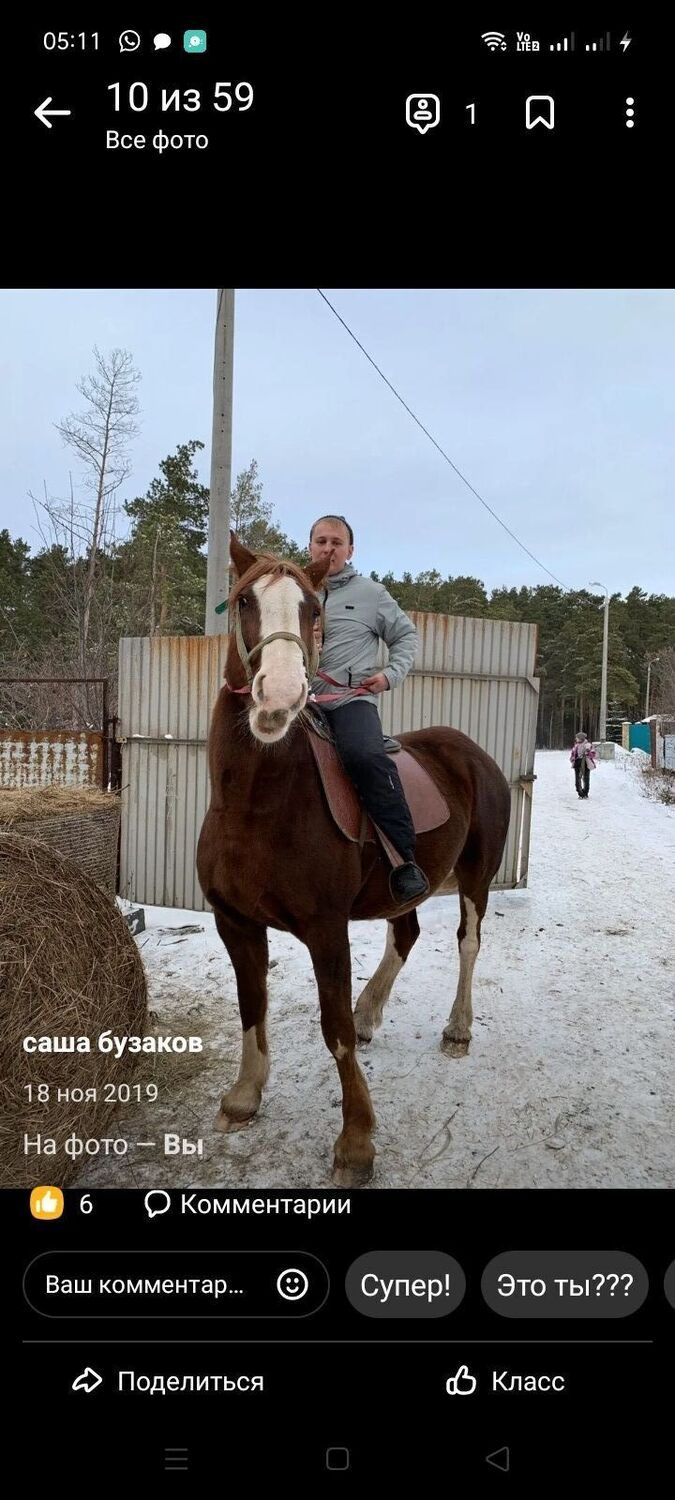 ���������� ���������, ���� ������� ���������, 33 ����, ������������ ��� ����� � ���������, c�������� ���������