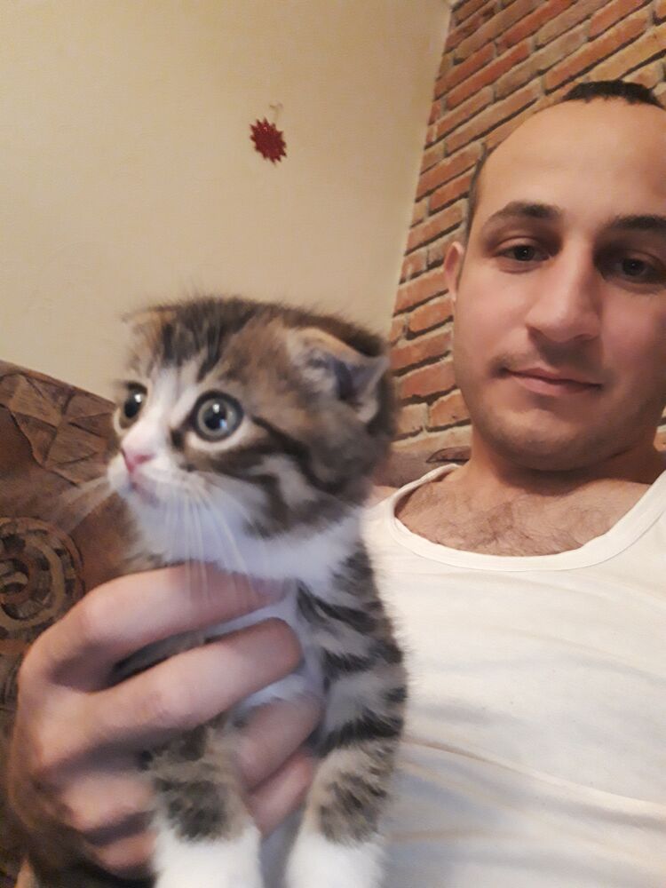 ���������� ������, ���� ������� ������, 33 ����, ������������ ��� ������, ����� � ���������