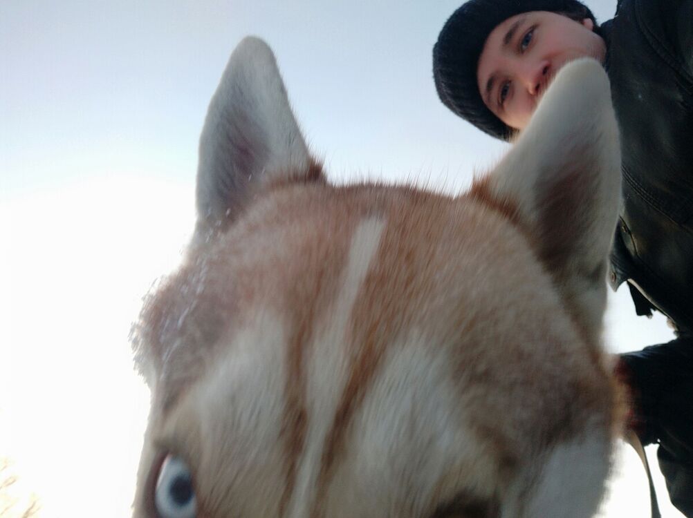 ���������� ��������, ���� ������� ������, 31 ���, ������������ ��� ������, ����� � ���������, c�������� ���������