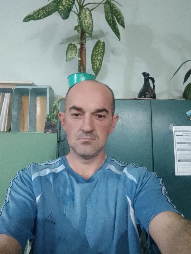  47952963  , 38 ,    