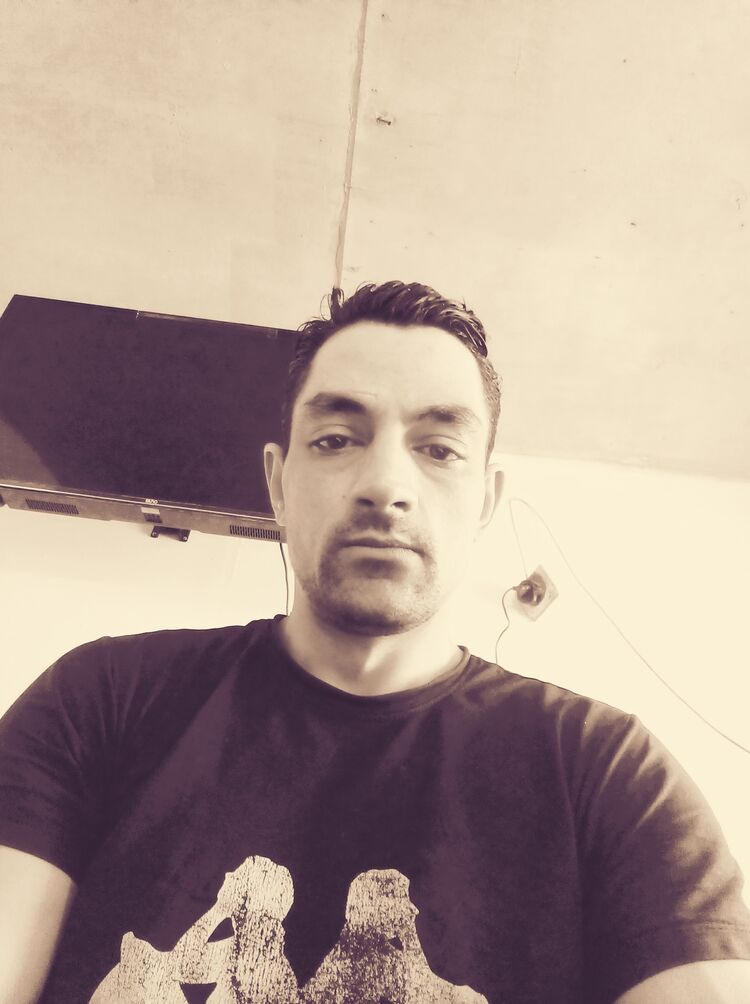  41705993  , 29 ,    