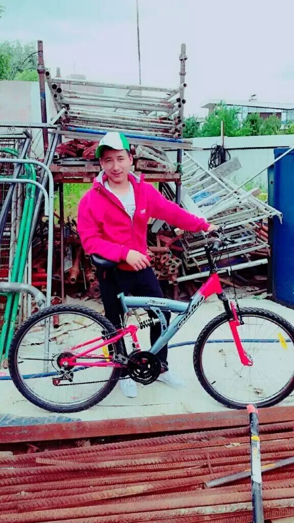  31317373  , 31 ,    