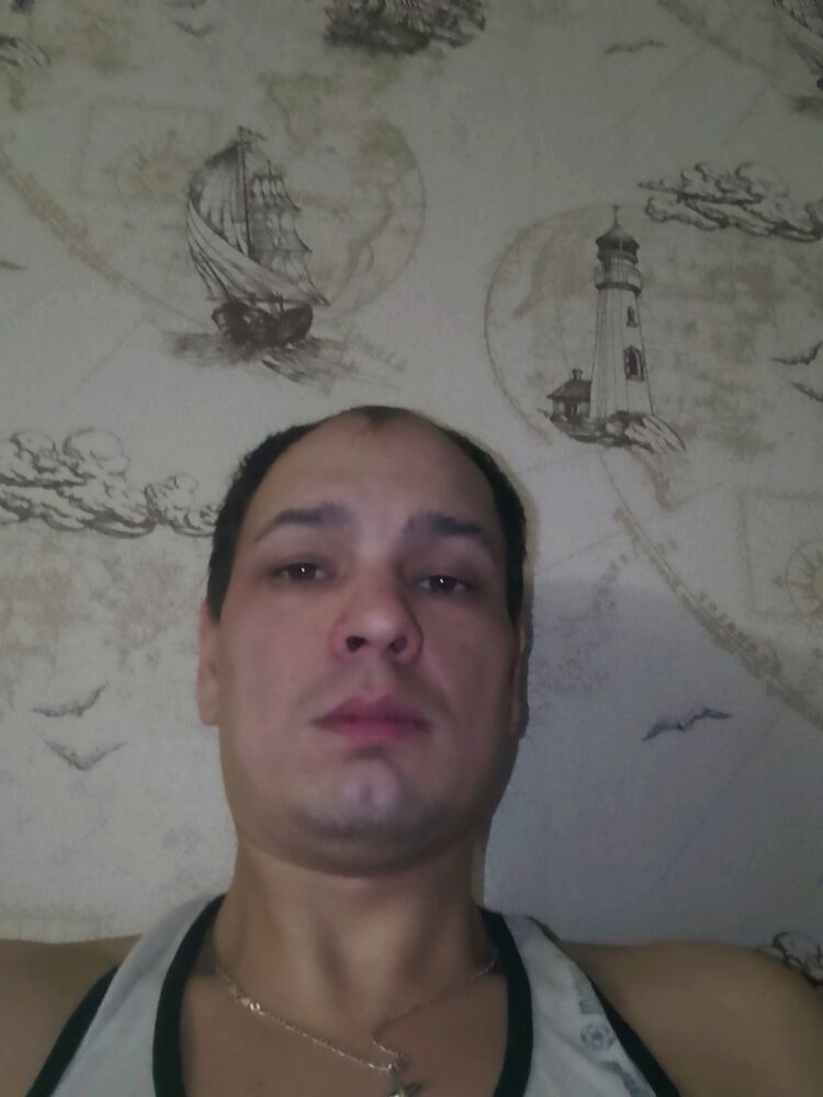 44213403  , 38 ,    