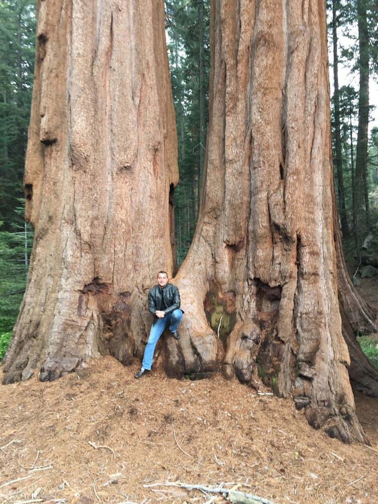 ���������� ������, ���� ������� Kitty hunter, 41 ���, ������������ ��� ������, ����� � ���������, c�������� ���������