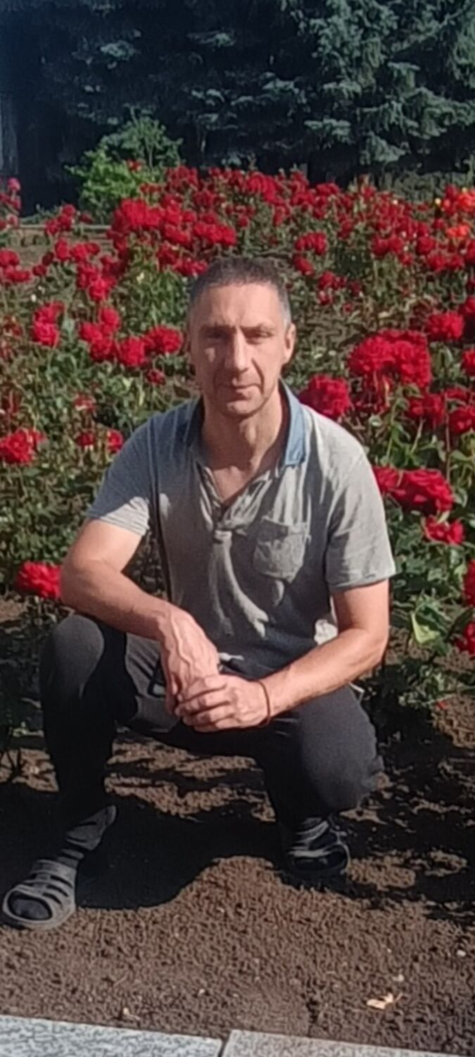  52987633  , 37 ,    -