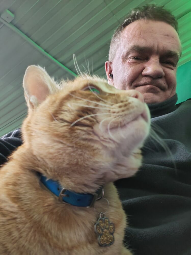 ���������� ������ ��������, ���� ������� �����, 50 ���, ������������ ��� ������, ����� � ���������