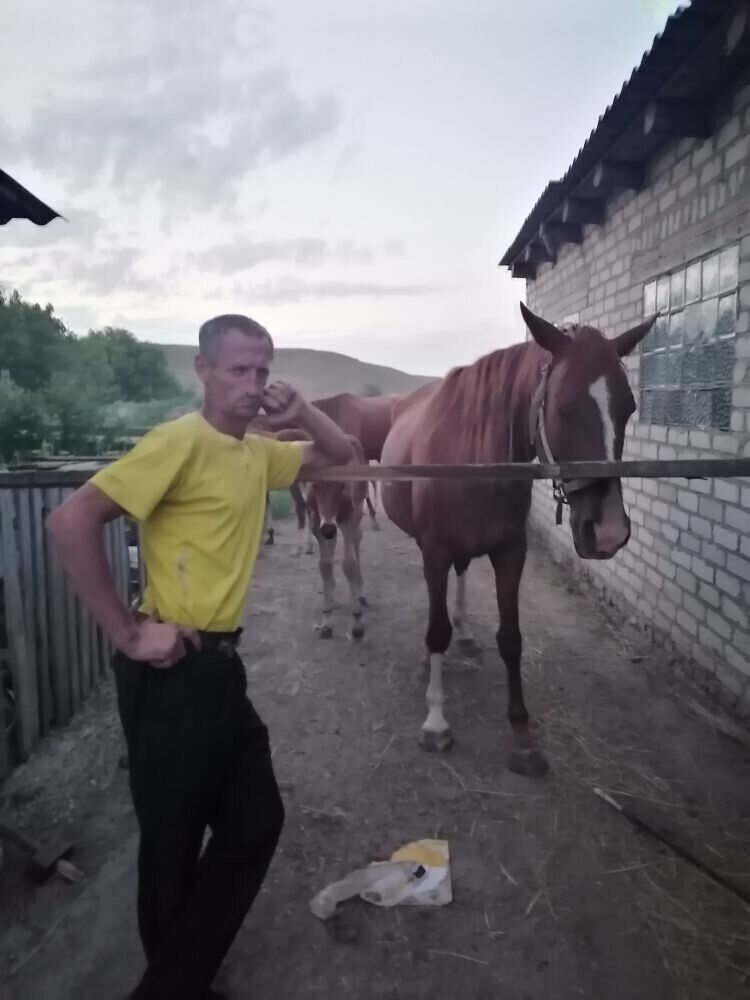 ���������� ������-��-����, ���� ������� ���������, 48 ���, ������������ ��� c�������� ���������