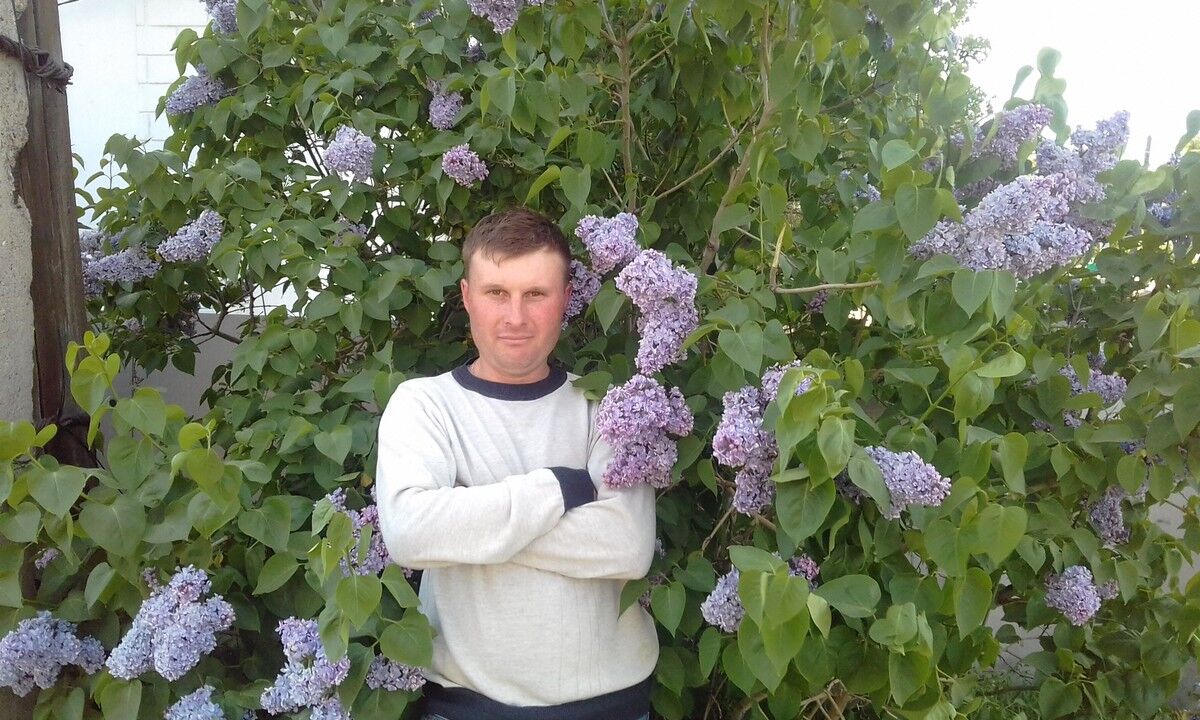 ���� 16508723 ������� ������, 43 ����, ���� ���������� � ���������