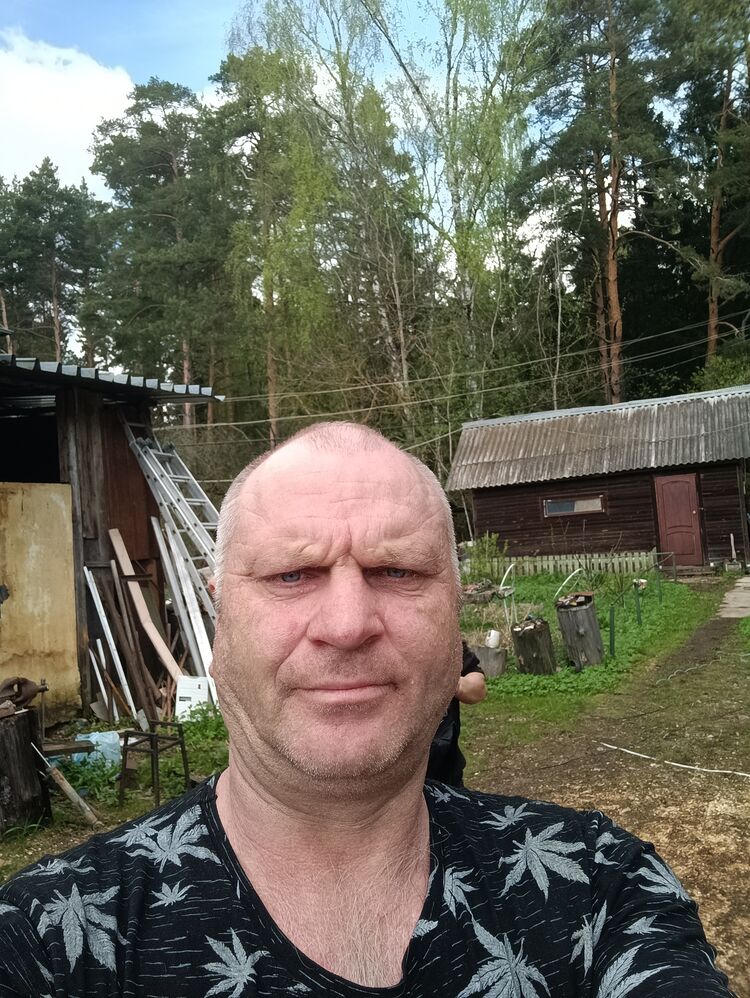 ���� 55065903 ������� Liz, 50 ���, ���� ���������� � ������