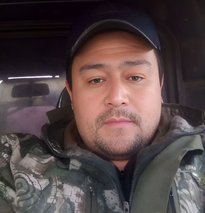  43186553  , 42 ,    