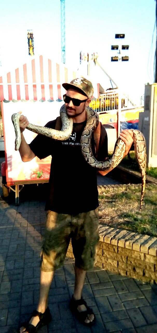 ���������� ���������, ���� ������� ����, 33 ����, ������������ ��� ������