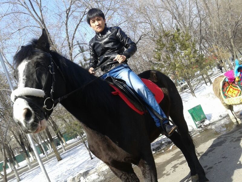 ���������� ������, ���� ������� �����, 33 ����, ������������ ��� ����� � ���������, c�������� ���������