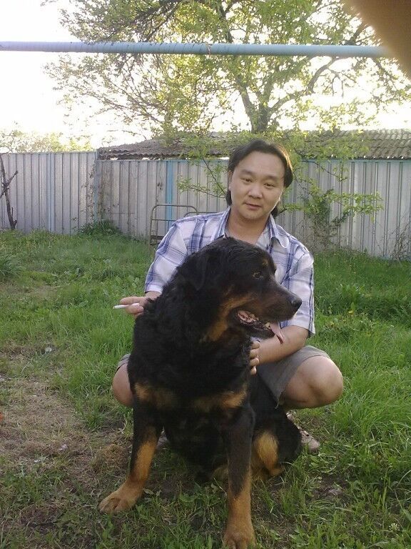 ���� 11453083 ������� ������, 46 ���, ���� ���������� � ������