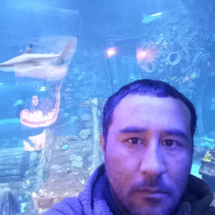 ���������� �������, ���� ������� ������, 39 ���, ������������ ��� ������, ����� � ���������