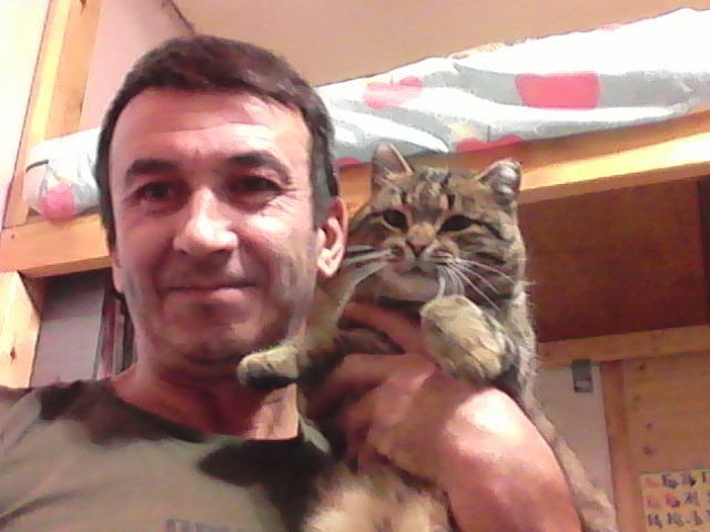  ,   , 49 ,   