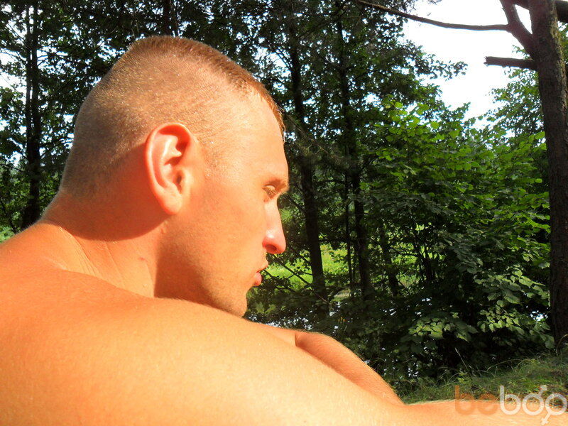 ���� 239883 ������� Verzila, 41 ���, ���� ���������� � �������