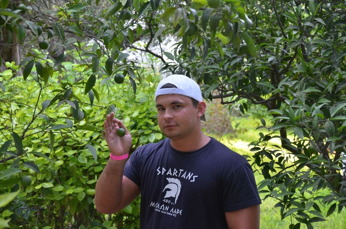 ���� 38563753 ������� ������, 41 ���, ���� ���������� � �����