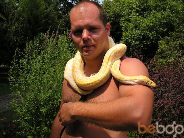  --,   , 43 ,     , c 