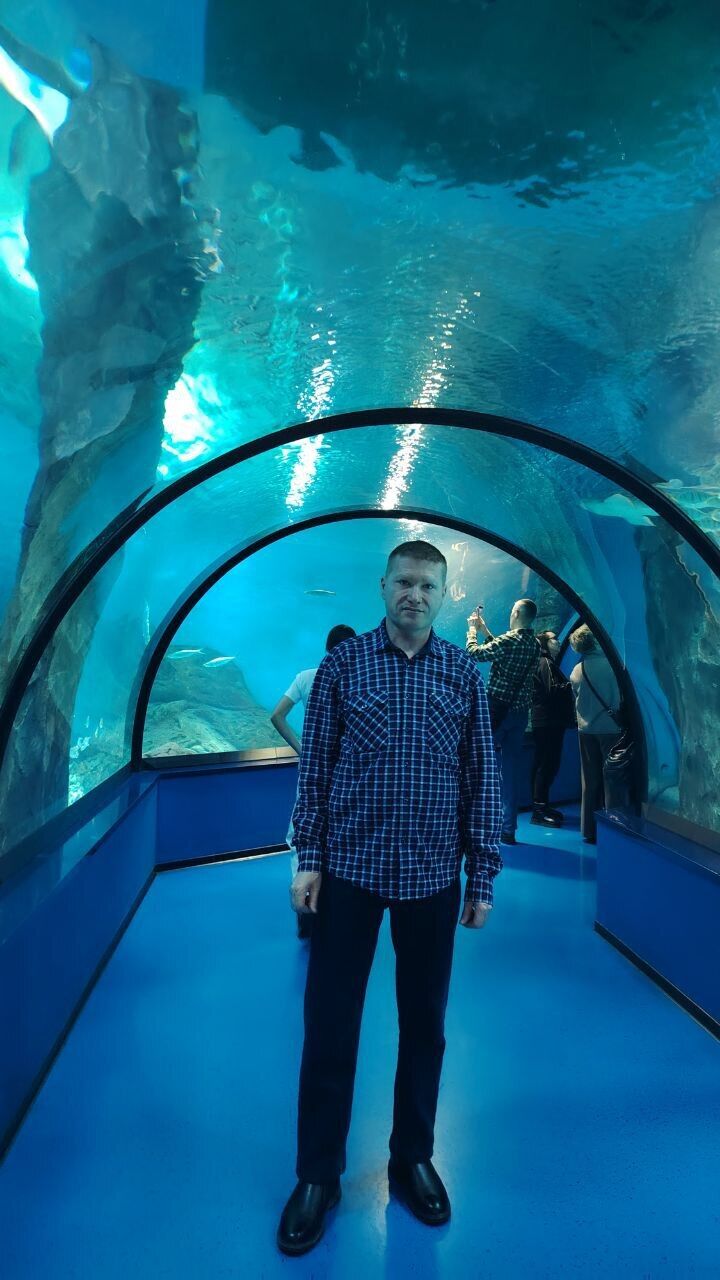 ���� 55190643 ������� ����������, 42 ����, ���� ���������� � �������