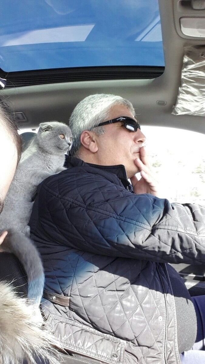  ,   Rufat, 57 ,   