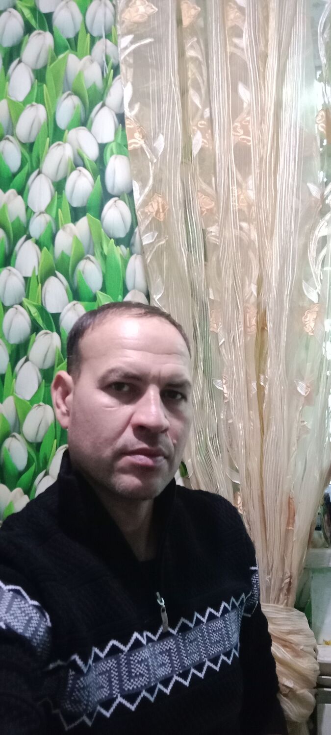  33863423  , 46 ,    